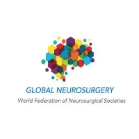 WFNS Global Neurosurgery Committee WFNS Global Neurosurgery Committee