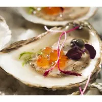 CEM Consulting LLC CEM Consulting LLC