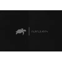 TurtleArts Photography