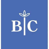 BC Consulting BC Consulting