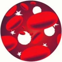 Human Cell Co.