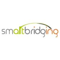 smartbridging
