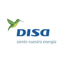 Grupo DISA Grupo DISA