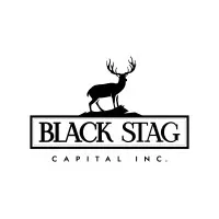 Black Stag Capital Inc.