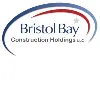 Bristol Bay Construction Holdings LLC Bristol Bay Construction Holdings LLC