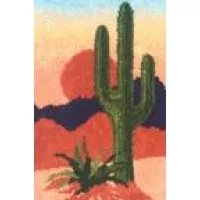 Purple Heart Desert Thrift Shop