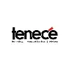 Tenece Professional Services Tenece Professional Services