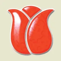 Netherland Bulb Company