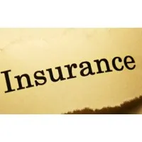 Insurance Agent Insurance Agent