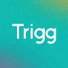 Trigg Brasil Trigg Brasil