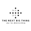 The Next Big Thing The Next Big Thing