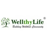 WELLTHY LIFE MARKETING