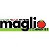 Maglio Companies Maglio Companies