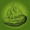 The Toasted Pickle The Toasted Pickle