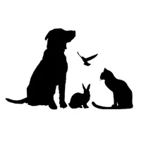 Radnor Veterinary Hospital