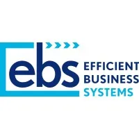 Efficient Business Systems
