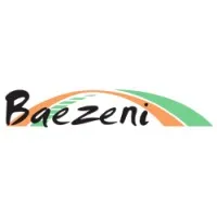 Baezeni Company Network