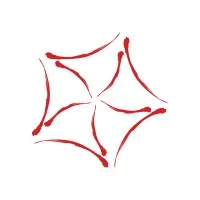 Circus Center