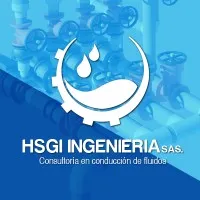 HSGI INGENIERÍA SAS HSGI INGENIERÍA SAS