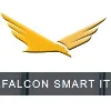 Falcon Smart IT (FalconSmartIT) Falcon Smart IT (FalconSmartIT)