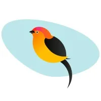 PIPRA Solutions PIPRA Solutions