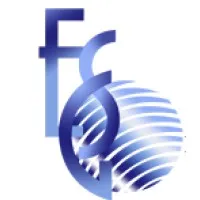 ElSafwa Group