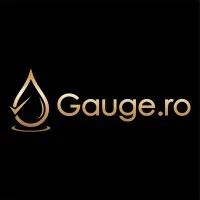 Gauge.ro