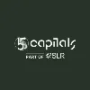 5 Capitals Environmental & Management Consulting