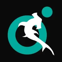 HAMMERHEAD GLOBAL