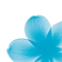 Dermatologic Surgery Center of Washington