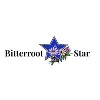 Bitterroot Star Bitterroot Star