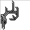 bonetech bonetech