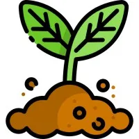 Buxton Hollow Farm Natural Products