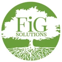 FIG Solutions Bonita Springs, United States