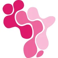 A&A Strategy and Investment Advisory