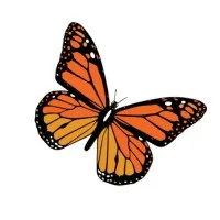 Archbishop Damiano School