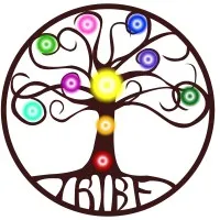 TRIBE WELLNESS GROUP 