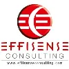 EffisenseConsulting EffisenseConsulting
