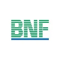 BNF Group email format