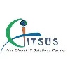 Global IT Solutions USI, Inc. (GITSUS) Global IT Solutions USI, Inc. (GITSUS)