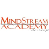 MindStream Academy
