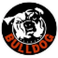 Bulldog Security Systems