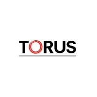 GRUPO TORUS