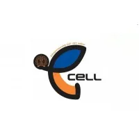 E-cell IIST