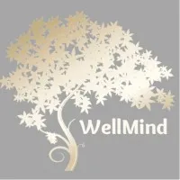 WellMind, PLLC