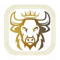 VTG Capital Services LLP