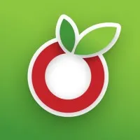 OurGroceries, Inc.