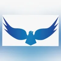 Falcon Technologies Hyderabad, India Falcon Technologies Hyderabad, India