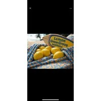 Lemon Grove Care & Rehabilitation Center