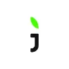 Jivo Jivo